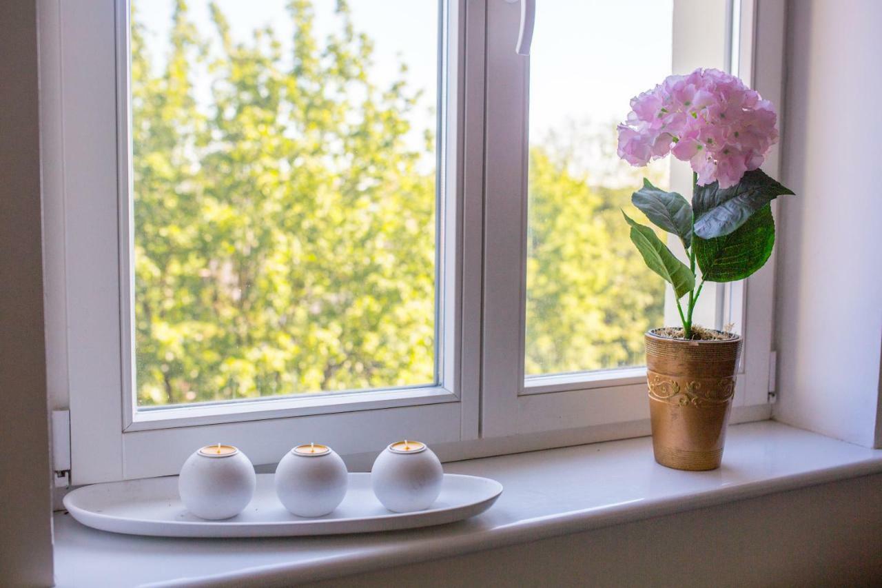 Sunhouse Apartment Stary Toruń エクステリア 写真
